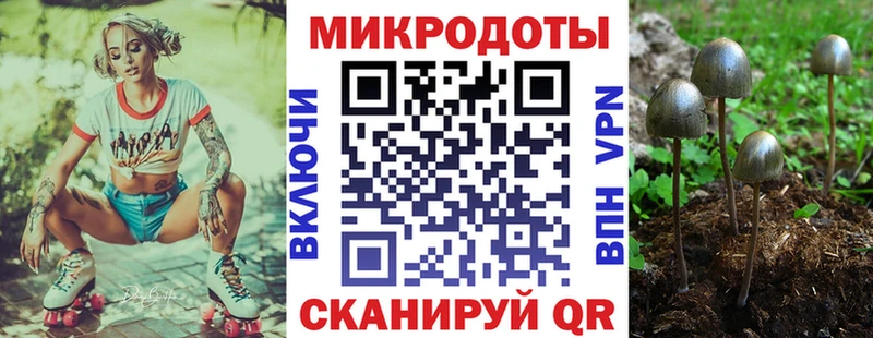 Галлюциногенные грибы Psilocybe  Тавда 