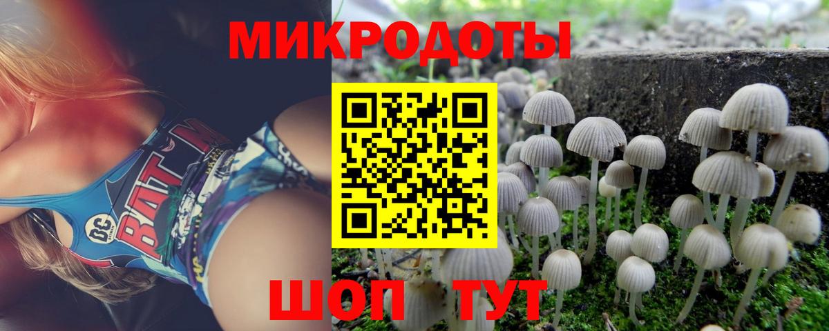 Псилоцибиновые грибы мухоморы  Вход с VPN  Псилоцибиновые грибы Cubensis  Тавда 