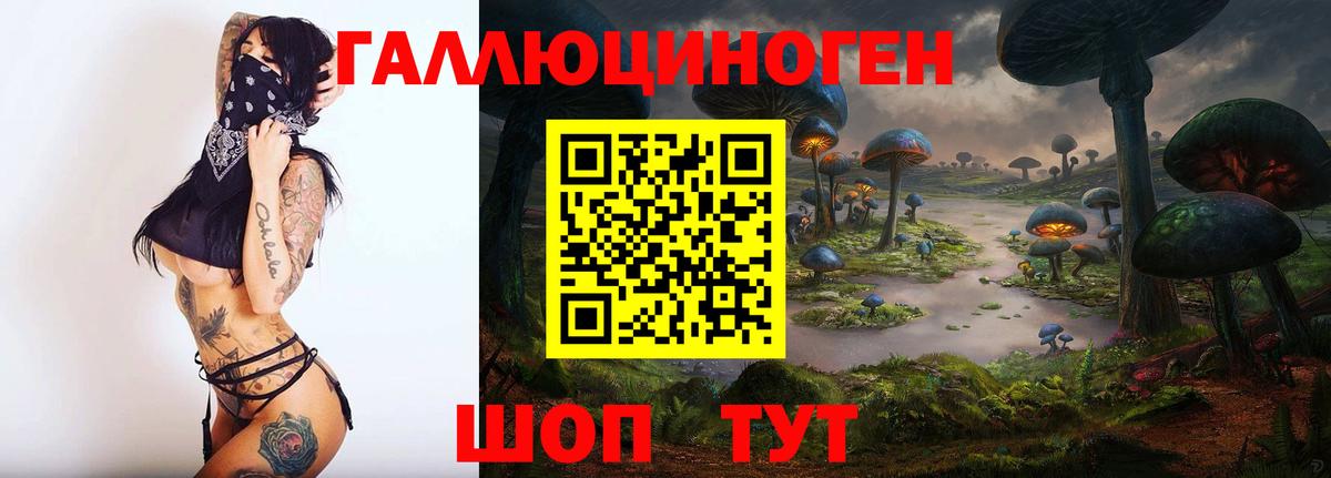 Галлюциногенные грибы Psilocybe Тавда